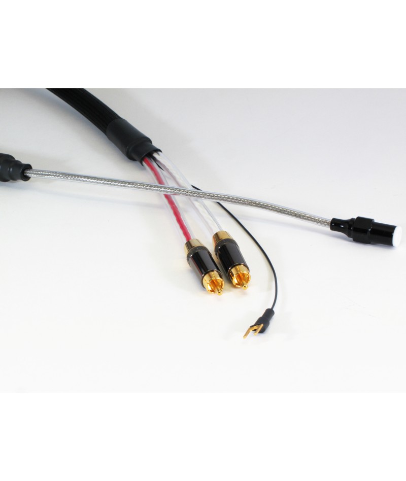 Purist Audio Design Corvus...