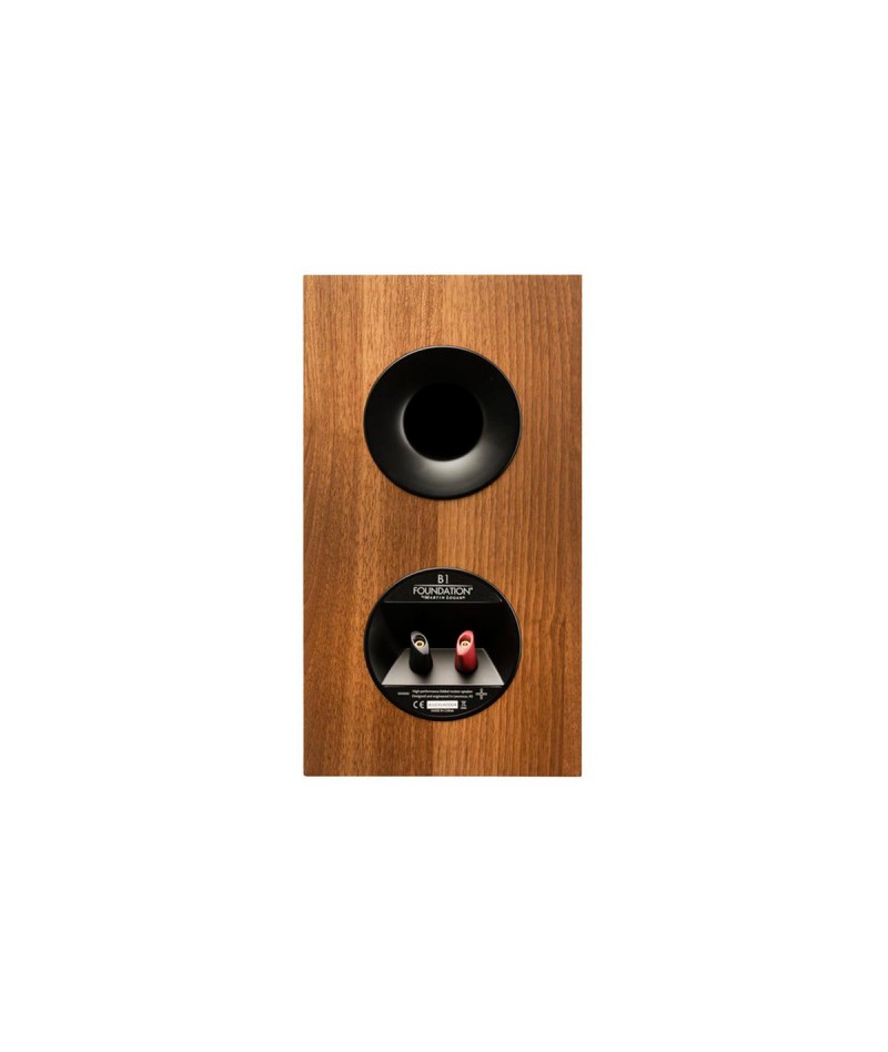 Martin Logan Motion...