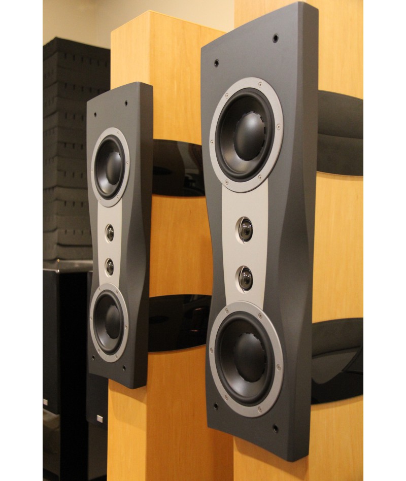Dynuaudio Confidence C2...