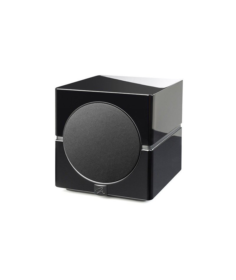 Martin Logan Dynamo 10"...